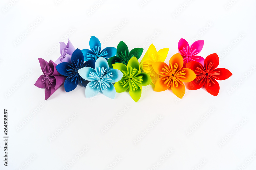 Obraz premium Origami kusudama flower stands in a row against a white background. Rainbow color. Diy Paper craft