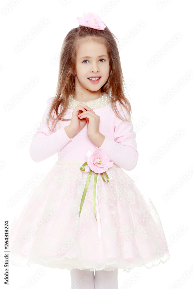 Elegant little girl in a pink dress.