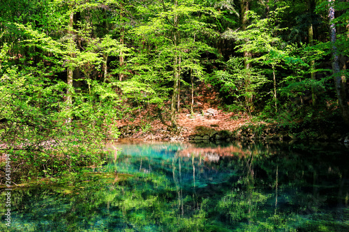 River source in the mountainous forest