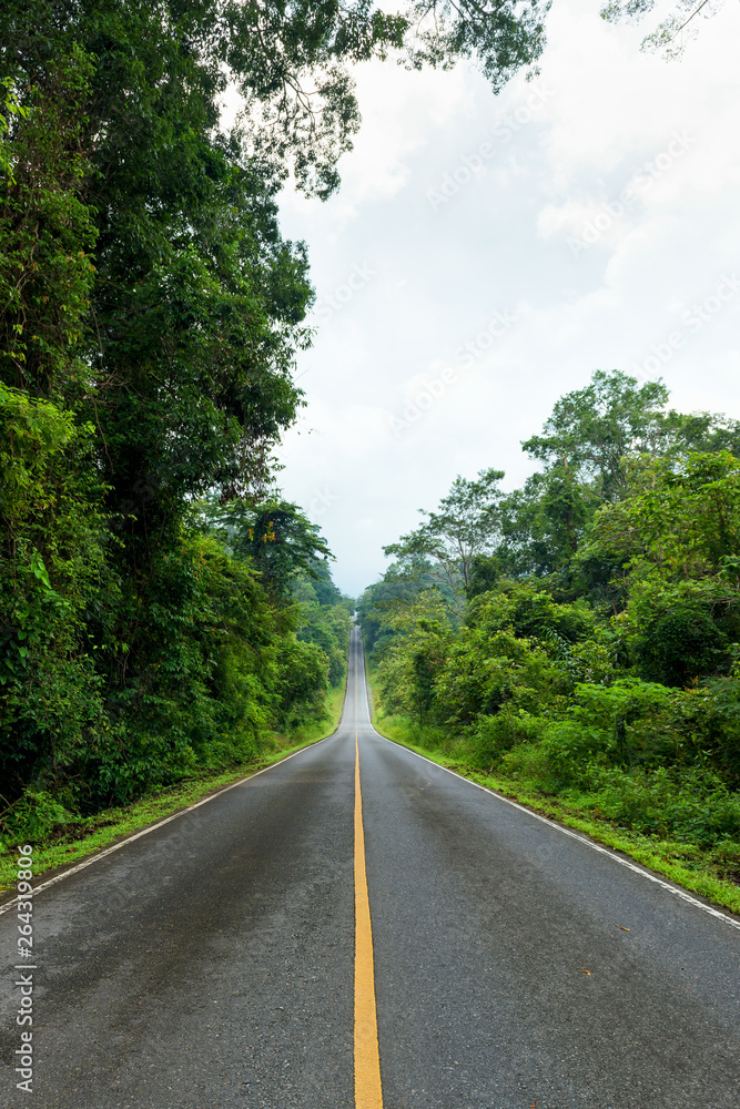 Empty asphalt road through the green forest Empty asphalt road through the green forest