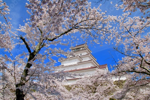 春の鶴ヶ城（福島県・会津若松市） © tk2001