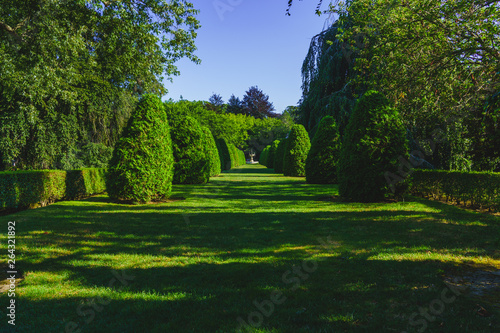 green grass walkway