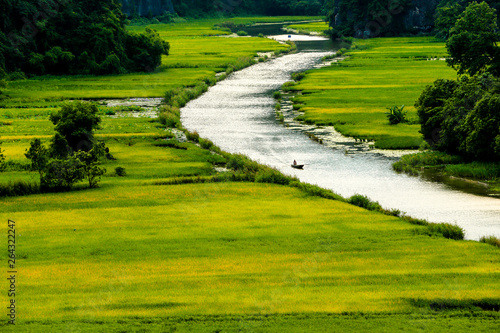 Paddy fields along a stream in Tam Coc, Ninh Binh province, Vietnam
