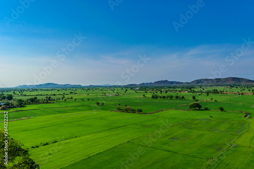 Landscape of sky with rice fields