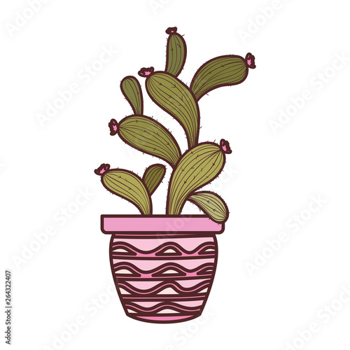 cactus with potted isolated icon