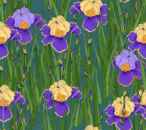 Floral seamless pattern. Irises in the meadow in the spring.
