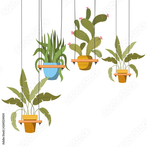houseplants on macrame hangers icon