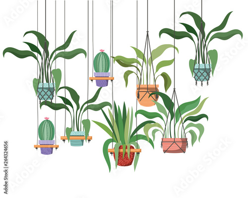 houseplants on macrame hangers icon