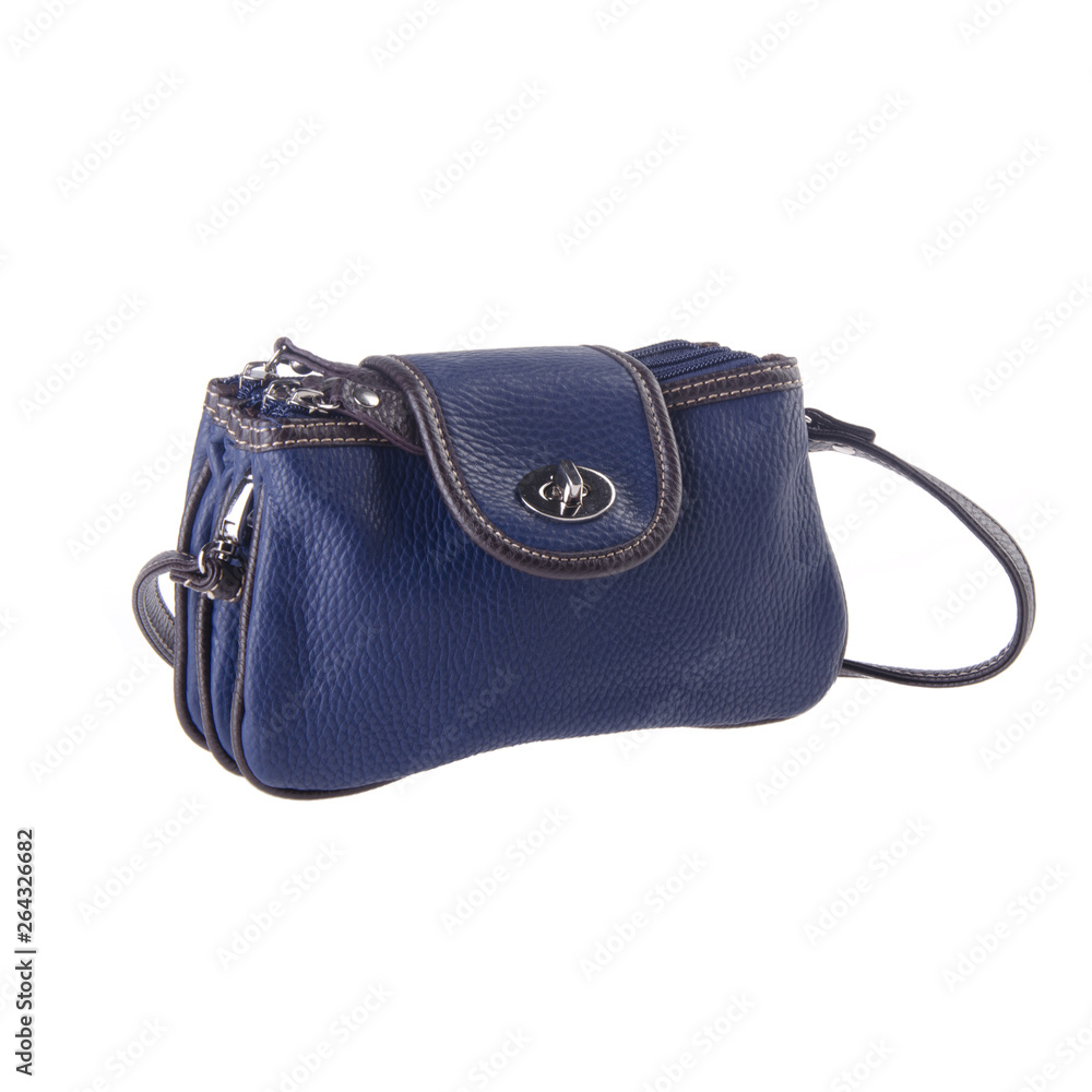 Naklejka premium bag or women bag with concept on background.