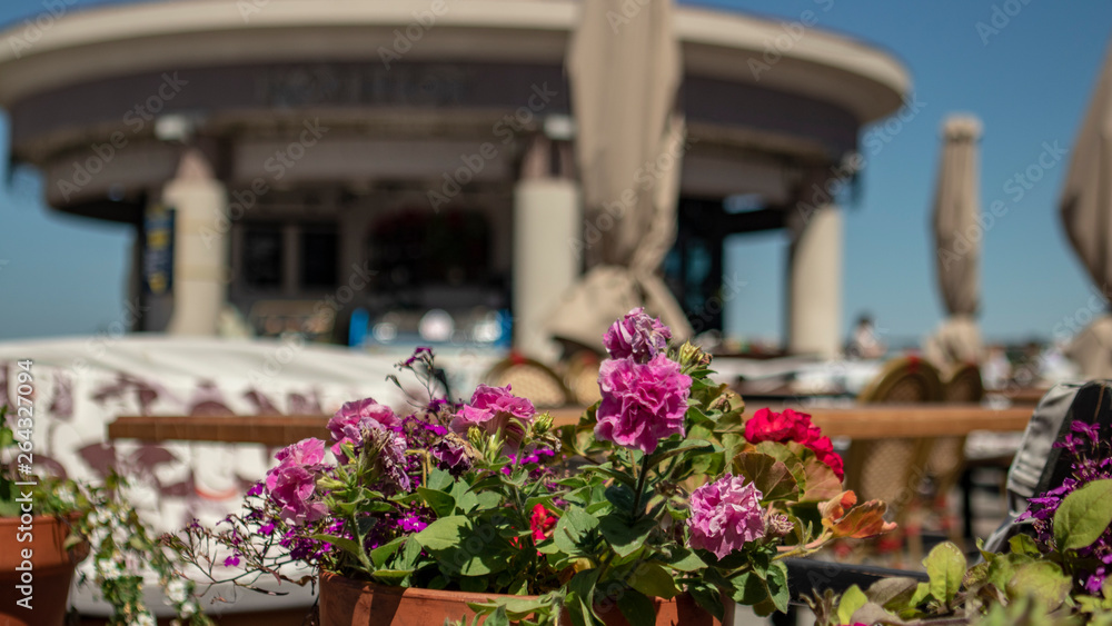 decorated with flowers and street cafes in Odesa, blurred background decorated with flowers and street cafes in Odesa, blurred background