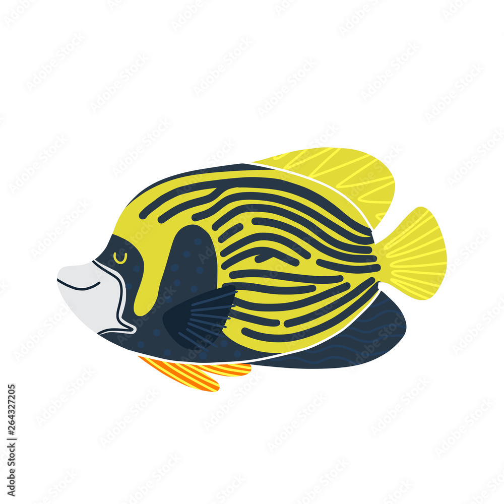 Isolated fish illustration. Set of freshwater aquarium cartoon colored fishes. Flat design sea tropical Emperor angel fish. art Isolated fish illustration. Set of freshwater aquarium cartoon colored fishes. Flat design sea tropical Emperor angel fish. art