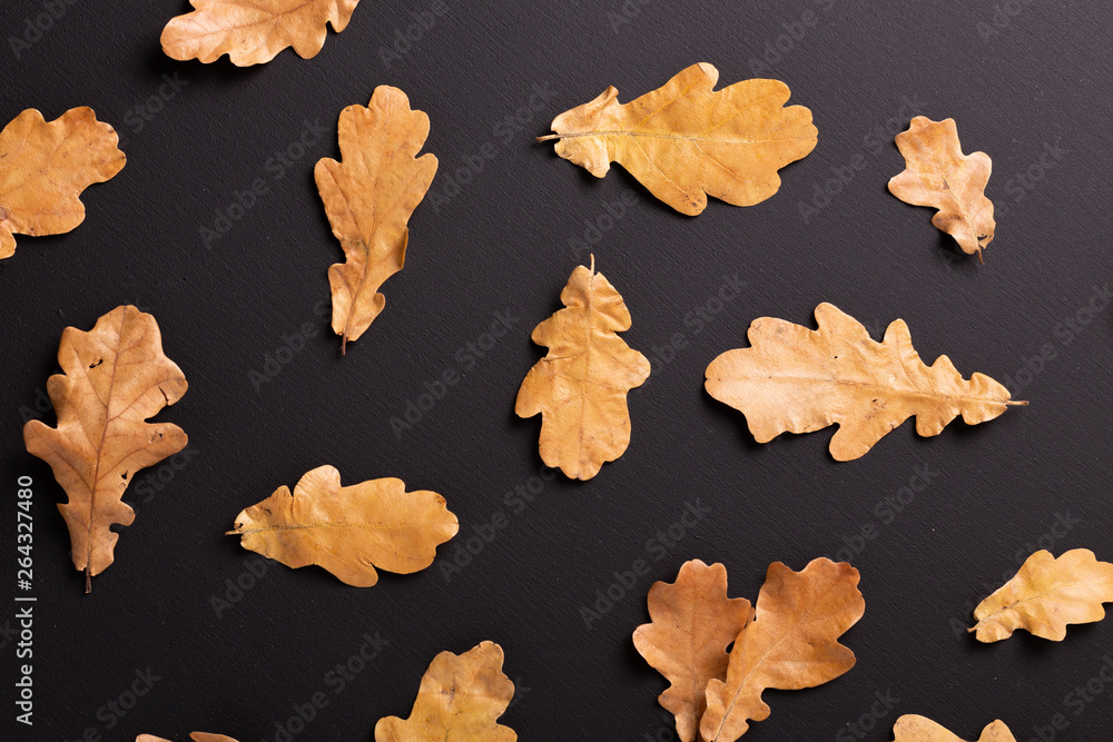 Autumn background. Dry oak leaves on black table. Autumn background. Dry oak leaves on black table.