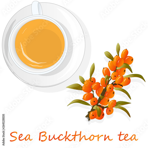 Cup of sea buckthorn tea. Branch of sea buckthorn berries with leaves. Vector illustration set on white background.