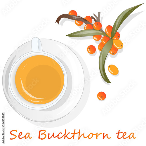 Cup of sea buckthorn tea. Branch of sea buckthorn berries with leaves. Vector illustration set on white background.