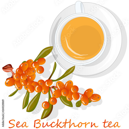 Cup of sea buckthorn tea. Branch of sea buckthorn berries with leaves. Vector illustration set on white background.