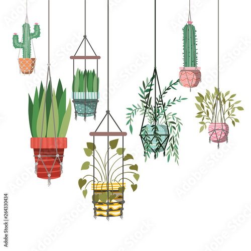 houseplants on macrame hangers icon