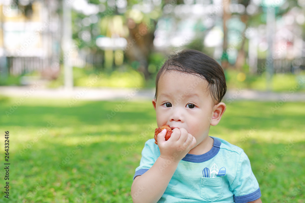 Asian baby boy enjoy eating fried chicken in the green garden outdoor. Asian baby boy enjoy eating fried chicken in the green garden outdoor.