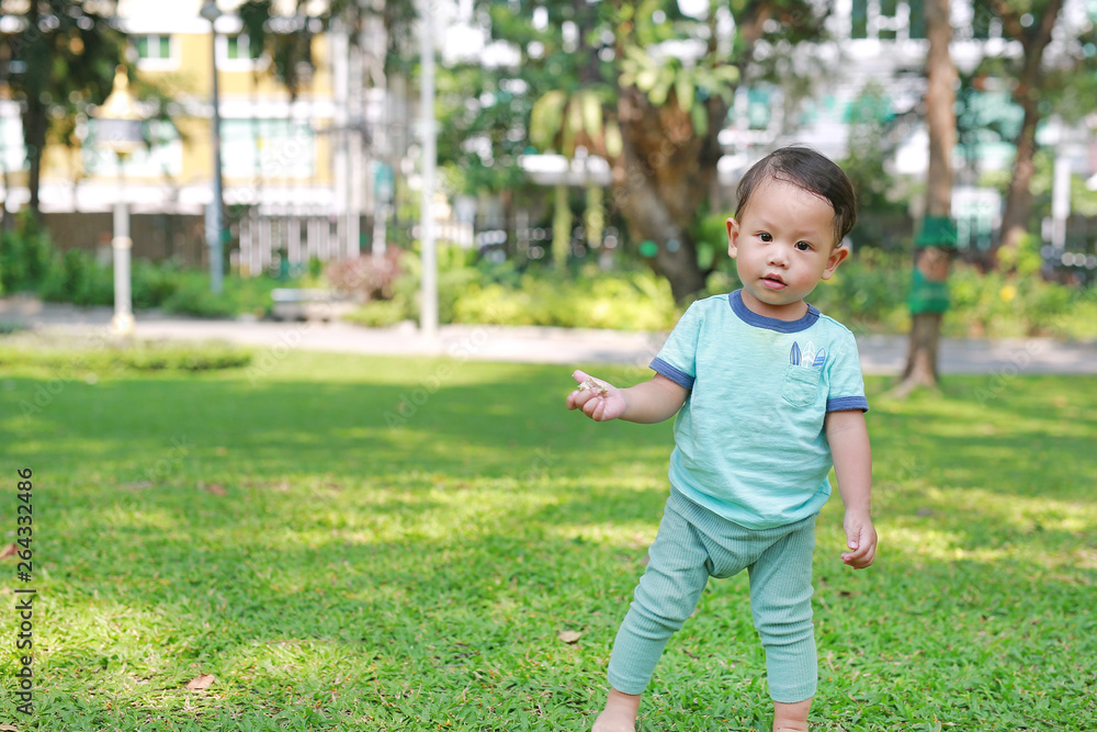 Asian baby boy walking first step on green grass garden. Asian baby boy walking first step on green grass garden.
