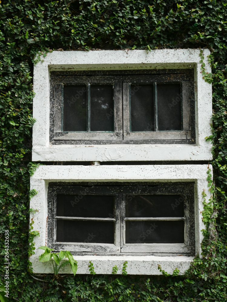 White windows with natural walls.