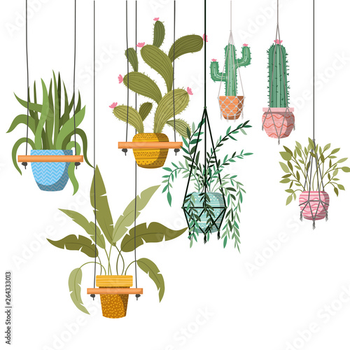 houseplants on macrame hangers icon