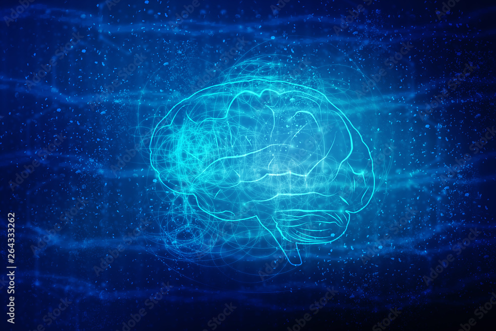 Human brain 2d illustration Human brain 2d illustration