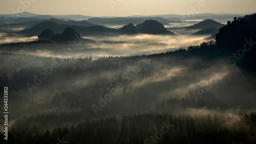 Silhouettes in the fog - Silhouetten im Nebel