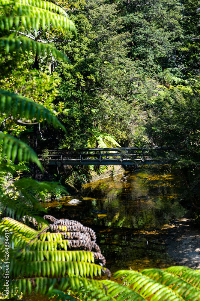 Fototapeta premium A bridge over a river on the Abel Tasman National Park track, New Zealand
