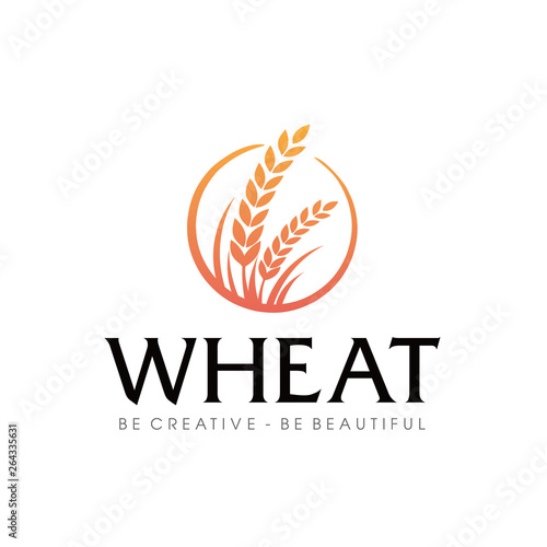 Wheat rice agriculture logo Inspiration vector