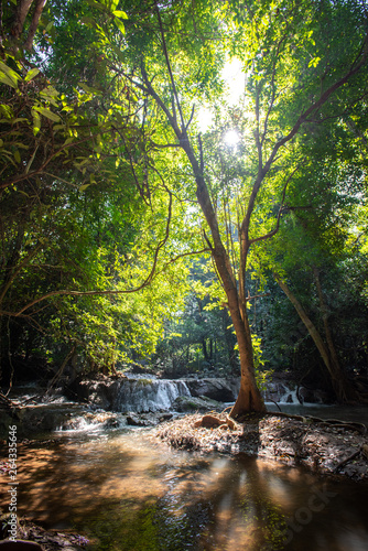 Fototapeta Naklejka Na Ścianę i Meble -  Waterfall green forest river stream landscape ,Waterfall hidden in the tropical jungle at National Park,Thailand.