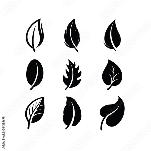 Set of Leaf Logo design inspiration vector icons