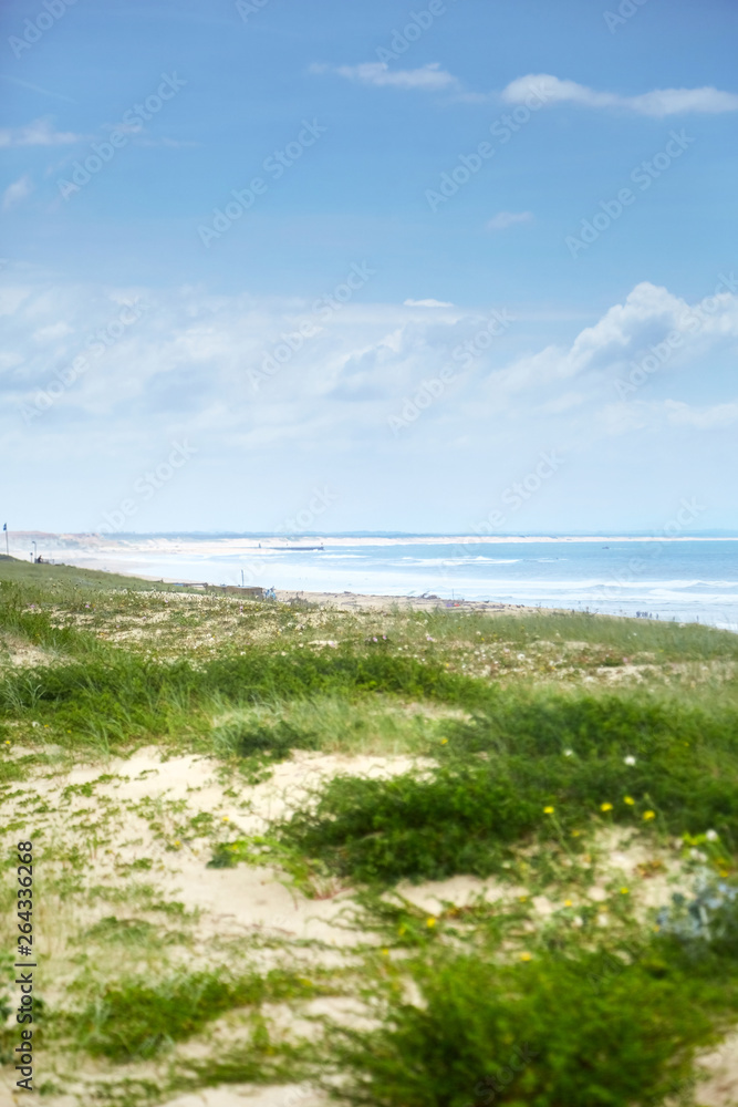 Landscape of French Atlantic coast. Green grass on sandy hill near beach on the shore of  the Bay of Biscay. Silver Coast of France
