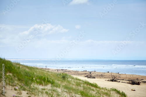 Landscape of French Atlantic coast. Green grass on sandy hill near beach on the shore of the Bay of Biscay. Silver Coast of France