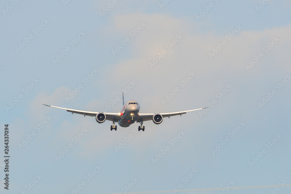 Passenger airplane landing at the airport Passenger airplane landing at the airport