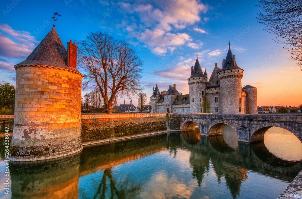 Fototapeta premium Famous medieval castle Sully sur Loire, Loire valley, France.