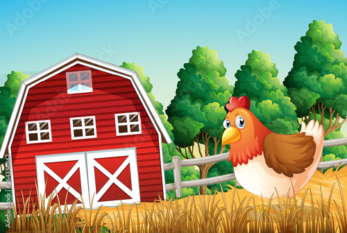 A chicken at farmland