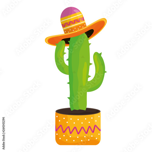 cactus plant with mexican hat