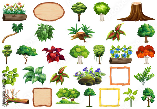 Set of ornamental plants