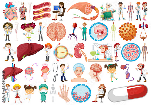 Set of medical decor element