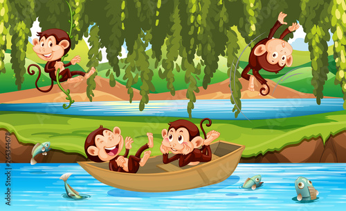 Monkey in the wild
