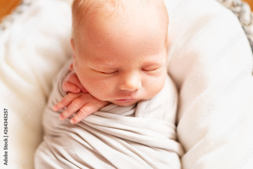 Cute caucasian newborn baby boy in the basket. Small hands. Portrait Cute caucasian newborn baby boy in the basket. Small hands. Portrait