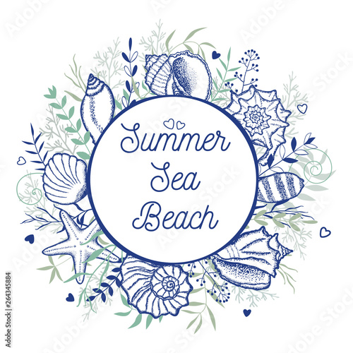 Marine frame. Seashells and...