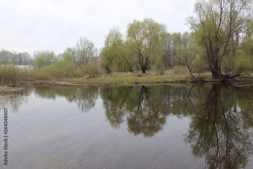 river landscape water