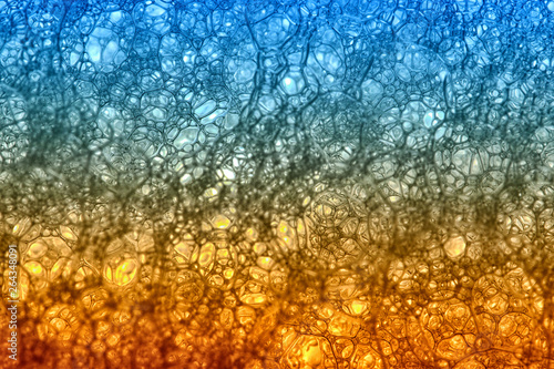 Molecular structure of soapsuds backlit with gradient colors from blue to yellow photo