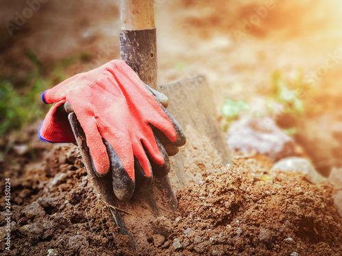 close up gardener gloves on shovel in garden. agriculture and planting concept photo