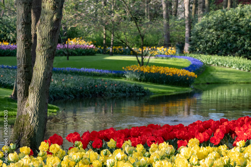 Brightly colored tulips tulips by the lake at Keukenhof Gardens, South Holland, Netherlands. Keukenhof is known as the Garden of Europe. © Lois GoBe