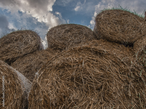 Bales of hay