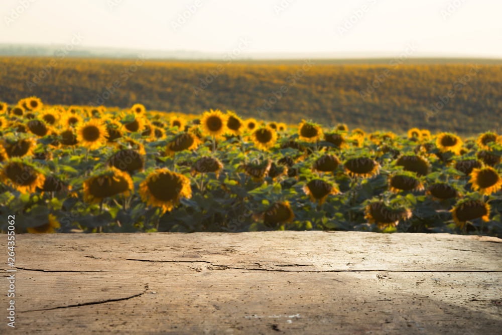 Obraz premium agriculture background with wooden planks. oil