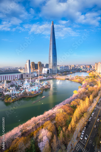 Sunset over cherry blossom park and tower background