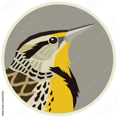 Western meadowlark Vector illustration of a bird in a round frame