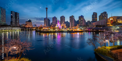 Night cityscape with cherry blossom park and tower